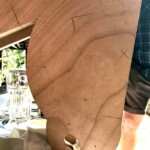 woody's portfolio